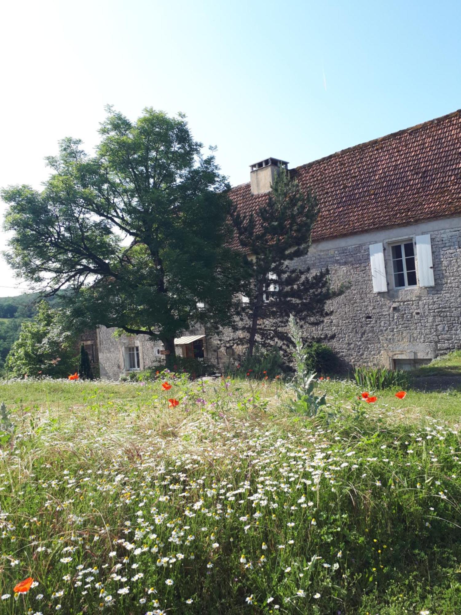 Hotel La Ferme De Roquedure Montfaucon  Esterno foto